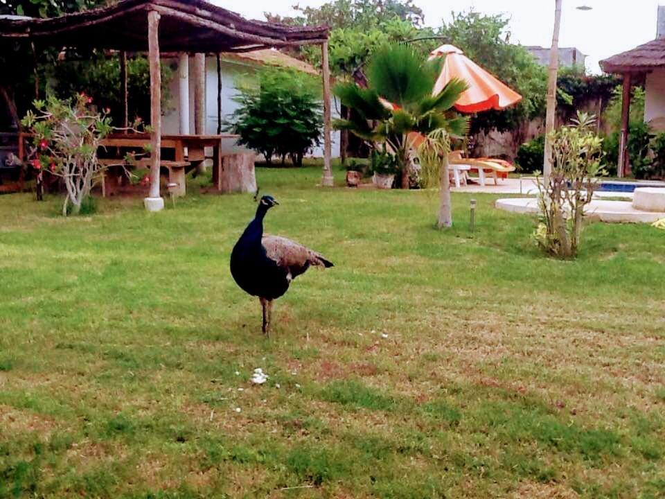 Jardin D'Afrique Hotel Saly Portudal Szoba fotó